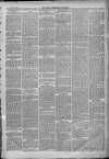 North Cumberland Reformer Saturday 06 January 1894 Page 3