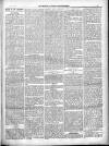 North Cumberland Reformer Saturday 06 April 1895 Page 5