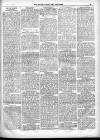 North Cumberland Reformer Saturday 27 April 1895 Page 3
