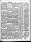 North Cumberland Reformer Saturday 01 June 1895 Page 5