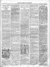 North Cumberland Reformer Saturday 06 July 1895 Page 3