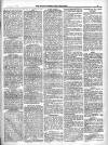 North Cumberland Reformer Saturday 21 September 1895 Page 3