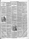 North Cumberland Reformer Saturday 12 October 1895 Page 7