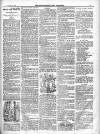 North Cumberland Reformer Saturday 19 October 1895 Page 7