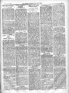 North Cumberland Reformer Saturday 16 November 1895 Page 3