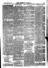 Weekly Journal (Hartlepool) Friday 17 March 1905 Page 13