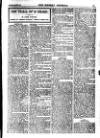 Weekly Journal (Hartlepool) Friday 26 May 1905 Page 17