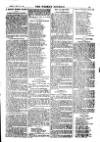 Weekly Journal (Hartlepool) Friday 07 July 1905 Page 13