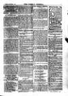 Weekly Journal (Hartlepool) Friday 01 September 1905 Page 19