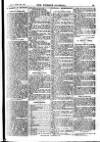 Weekly Journal (Hartlepool) Friday 29 March 1907 Page 13