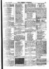 Weekly Journal (Hartlepool) Friday 10 May 1907 Page 19