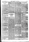 Weekly Journal (Hartlepool) Friday 14 June 1907 Page 15