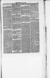 Weymouth Telegram Friday 23 July 1869 Page 5