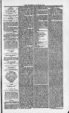Weymouth Telegram Friday 21 January 1870 Page 7