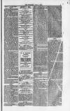 Weymouth Telegram Friday 08 April 1870 Page 3