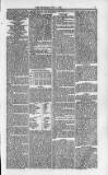 Weymouth Telegram Friday 01 July 1870 Page 7