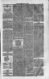 Weymouth Telegram Friday 15 July 1870 Page 7