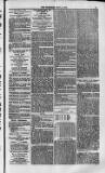 Weymouth Telegram Friday 14 July 1871 Page 5