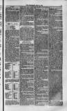 Weymouth Telegram Friday 21 July 1871 Page 3