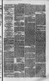 Weymouth Telegram Friday 21 July 1871 Page 5