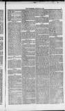 Weymouth Telegram Friday 10 January 1873 Page 5