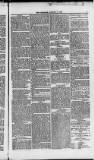 Weymouth Telegram Friday 17 January 1873 Page 9