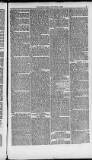 Weymouth Telegram Friday 24 January 1873 Page 5