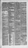 Weymouth Telegram Friday 21 February 1873 Page 5