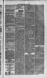 Weymouth Telegram Friday 07 March 1873 Page 3