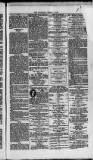 Weymouth Telegram Friday 07 March 1873 Page 7
