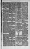 Weymouth Telegram Friday 21 March 1873 Page 5