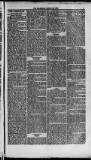 Weymouth Telegram Friday 28 March 1873 Page 3