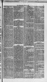 Weymouth Telegram Friday 27 June 1873 Page 5