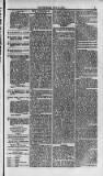 Weymouth Telegram Friday 18 July 1873 Page 3