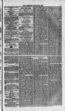 Weymouth Telegram Friday 24 October 1873 Page 3