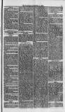 Weymouth Telegram Friday 14 November 1873 Page 5