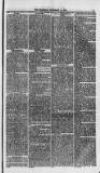 Weymouth Telegram Friday 14 November 1873 Page 9