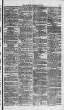 Weymouth Telegram Friday 14 November 1873 Page 11