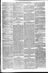 Weymouth Telegram Friday 16 January 1874 Page 5