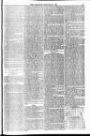 Weymouth Telegram Friday 16 January 1874 Page 9