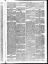 Weymouth Telegram Friday 23 January 1874 Page 5
