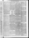 Weymouth Telegram Friday 23 January 1874 Page 9
