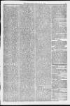 Weymouth Telegram Friday 30 January 1874 Page 5