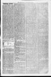 Weymouth Telegram Saturday 31 January 1874 Page 3