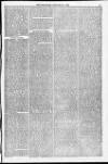 Weymouth Telegram Saturday 31 January 1874 Page 5