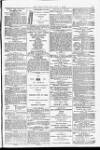 Weymouth Telegram Friday 13 February 1874 Page 7