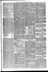 Weymouth Telegram Friday 20 February 1874 Page 5