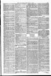 Weymouth Telegram Friday 27 February 1874 Page 5