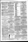 Weymouth Telegram Friday 13 March 1874 Page 7