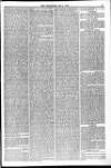 Weymouth Telegram Friday 01 May 1874 Page 5